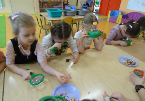 Dzieci oglądają nasiona roślin i cebulki przy użyciu lup i mini mikroskopów.